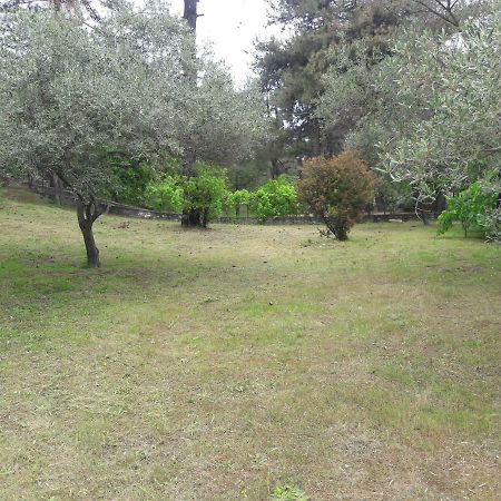 Villa Leo Glykadi Kültér fotó