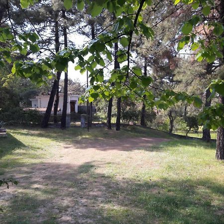 Villa Leo Glykadi Kültér fotó