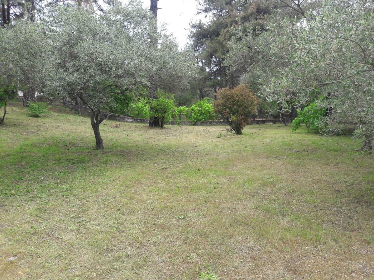 Villa Leo Glykadi Kültér fotó